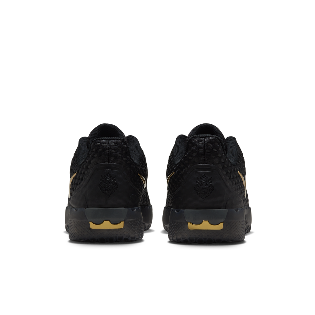 Men's LeBron Witness X Basketball Shoes