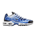 Nike Men's Air Max Plus 'Light Photography - Old Royal'