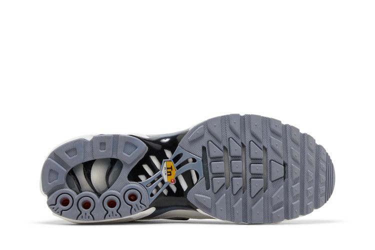 Nike Wmns Air Max Plus 'Smoke Grey Ashen Slate'