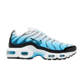 Nike Air Max Plus GS 'Ice'