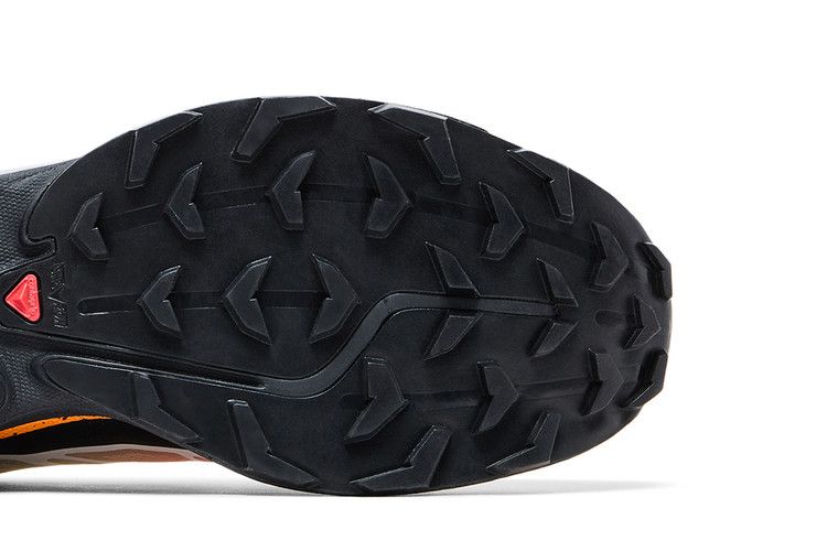 Andrew x Salomon XT-6 'Florida Snow Crab'