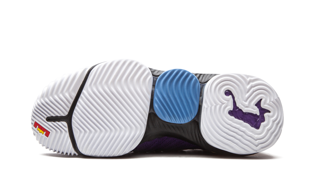 LEBRON XVI "Martin" CI1520 500