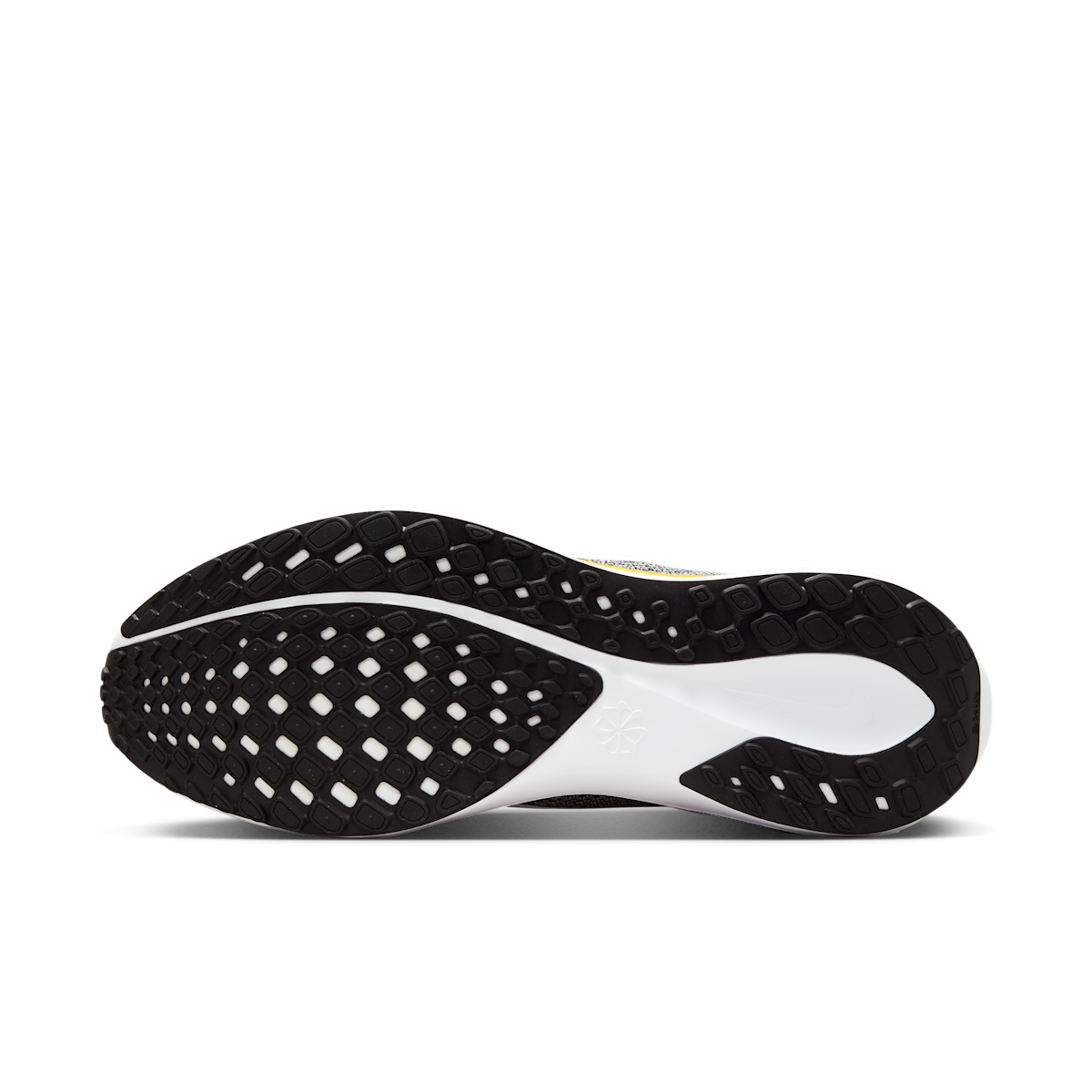 Michigan Pegasus 41  Men's College Road Running Shoes