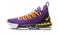 LEBRON XVI "Martin" CI1520 500