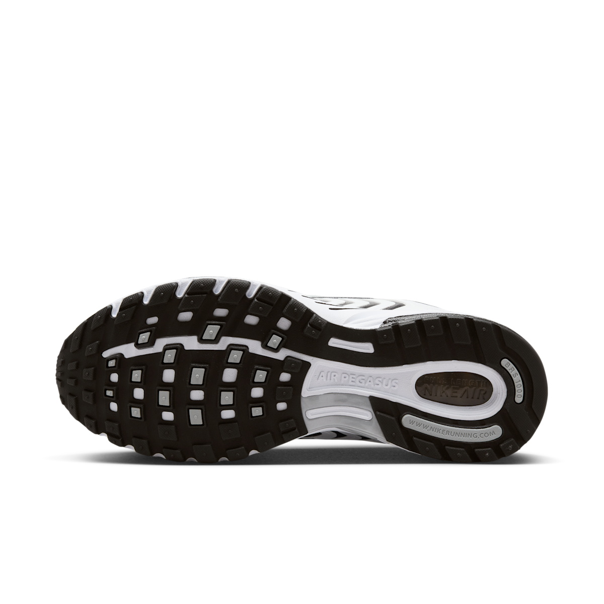 Men's Air Pegasus 2005 Shoes
