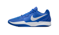 Ja 2 TB "Royal" HQ8513-400
