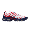 Nike Air Max Plus 'USA'