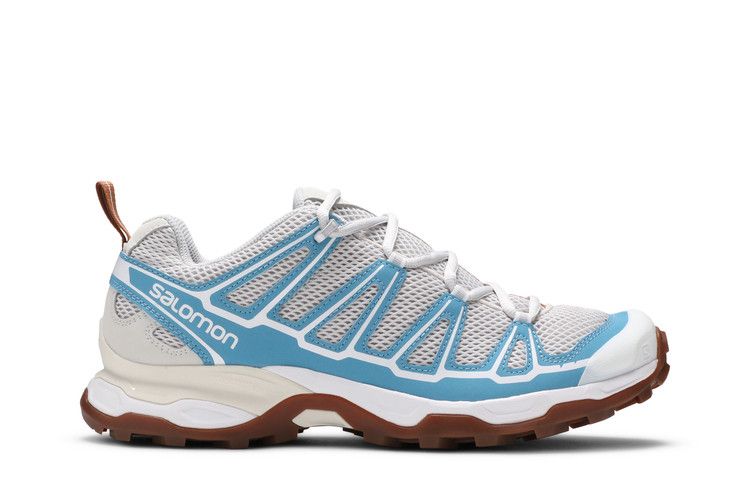 Salomon X Ultra Advanced 'Lunar Rock Niagara'