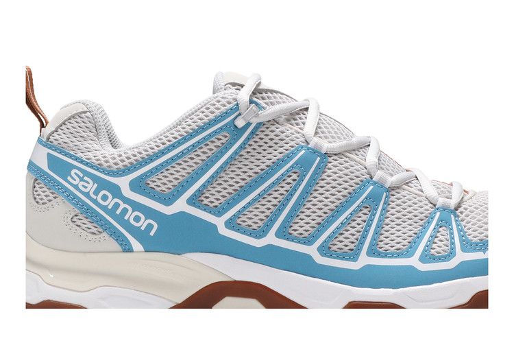 Salomon X Ultra Advanced 'Lunar Rock Niagara'