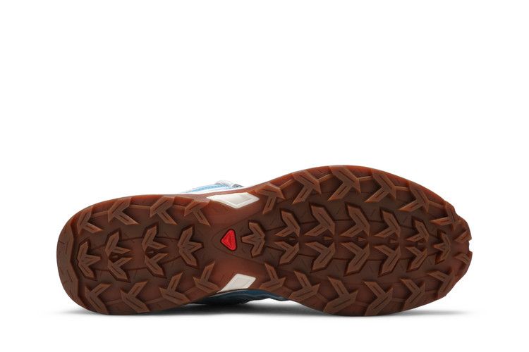 Salomon X Ultra Advanced 'Lunar Rock Niagara'