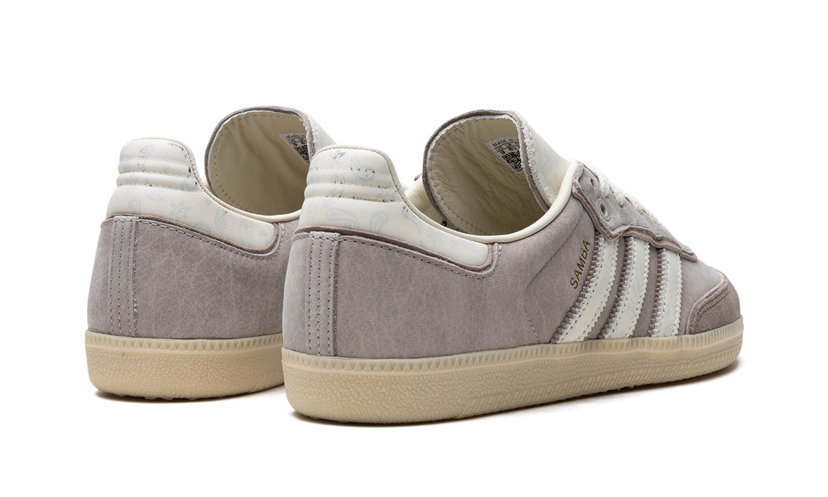 Samba OG Offspring "Consortium Cup" IG1954