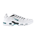Nike Air Max Plus 'Dusty Cactus'