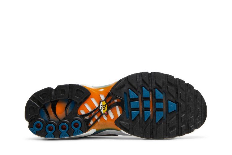 Nike Air Max Plus 'Hiking'