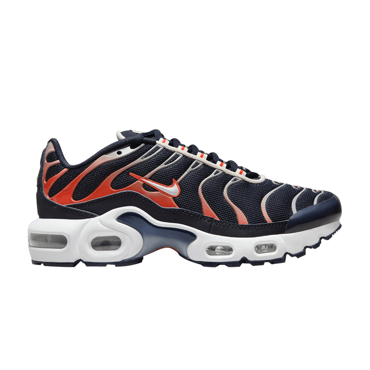 Nike Air Max Plus GS 'Dark Obsidian Bright Crimson'