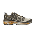 Salomon XT-6 Expanse 'Feather Grey Golden Oak'
