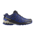 Salomon XA Pro 3D v9 GORE-TEX 'Blue Print'