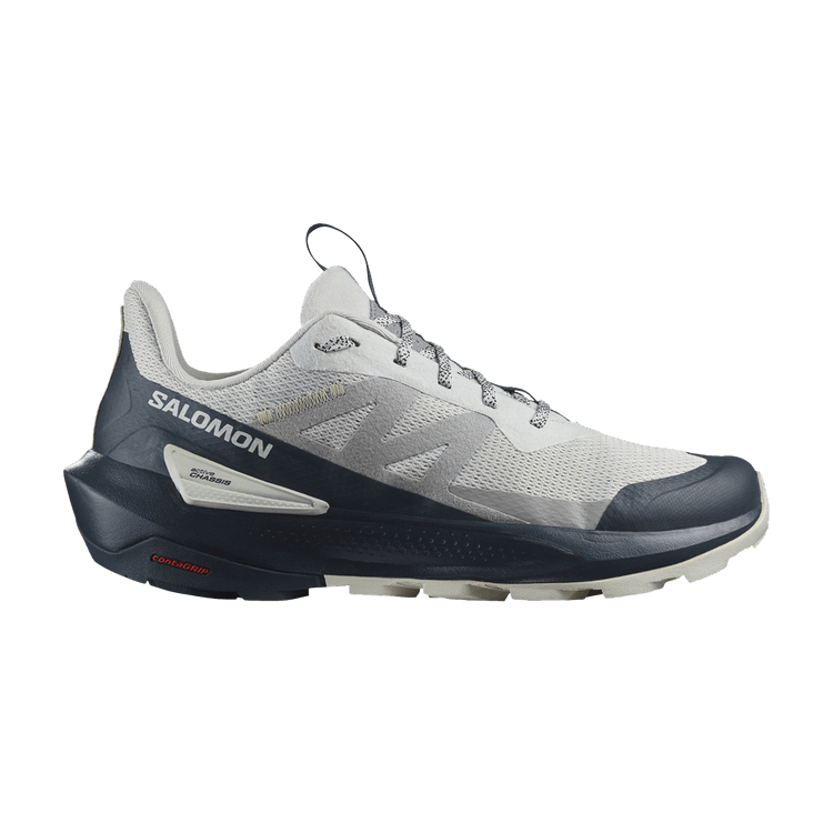 Salomon Elixir Activ 'Glacier Grey Carbon'