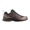 Salomon XA Pro 3D V9 GORE-TEX 'Rum Raisin'