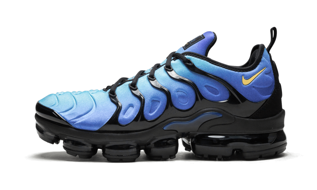 Air Vapormax Plus "Original Fade" 924453 008