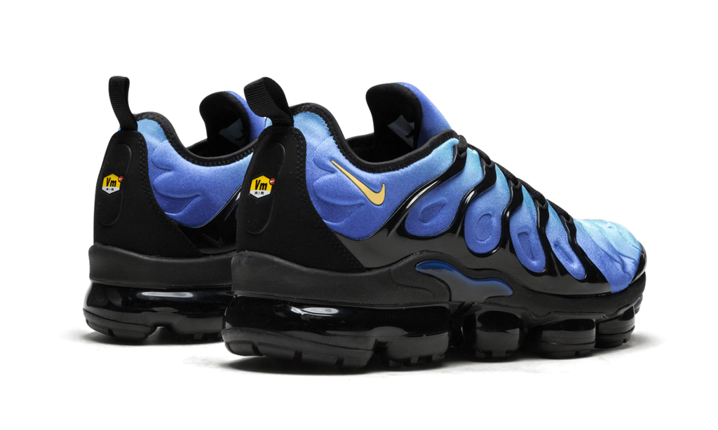 Air Vapormax Plus "Original Fade" 924453 008