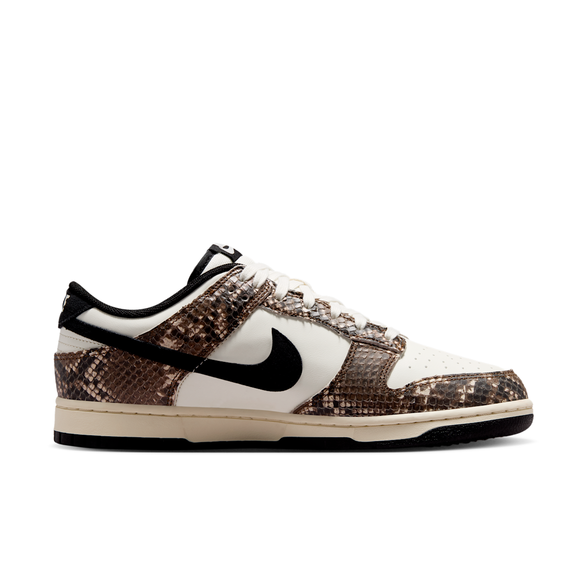 Men's Dunk Low Retro Shoes