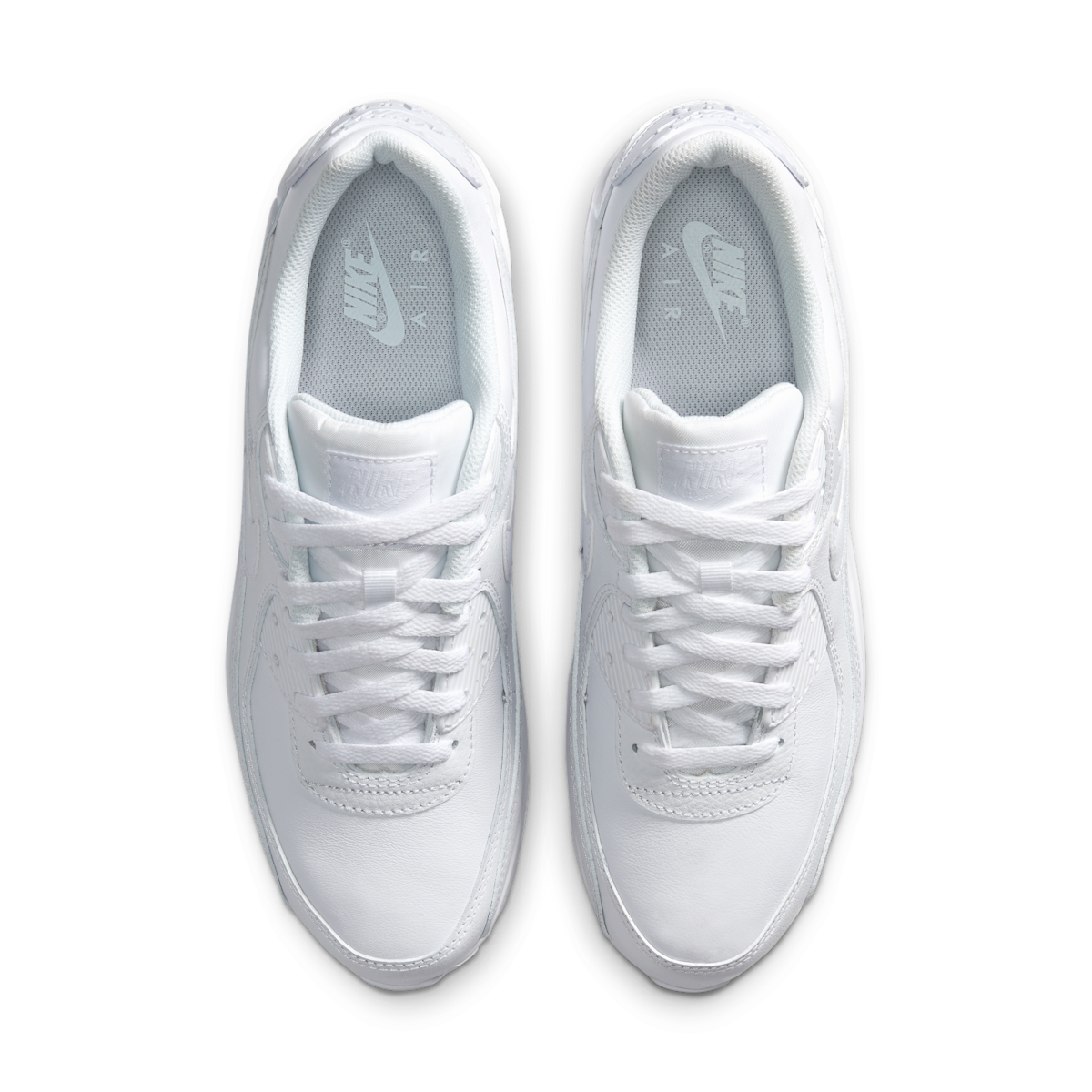 Men's Air Max 90 LTR Shoes