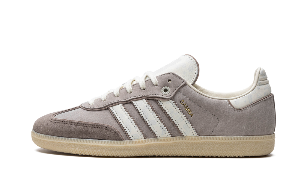 Samba OG Offspring "Consortium Cup" IG1954