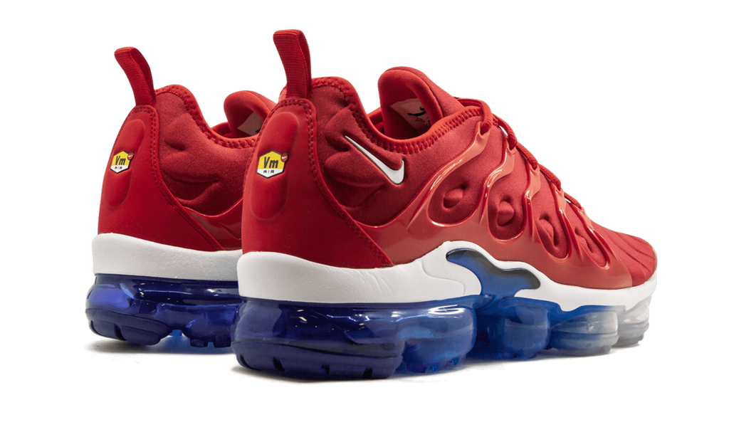 Air Vapormax Plus 924453 601