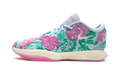 LeBron 21 "Grandma's Couch - Pearl of Z" FV7275 401