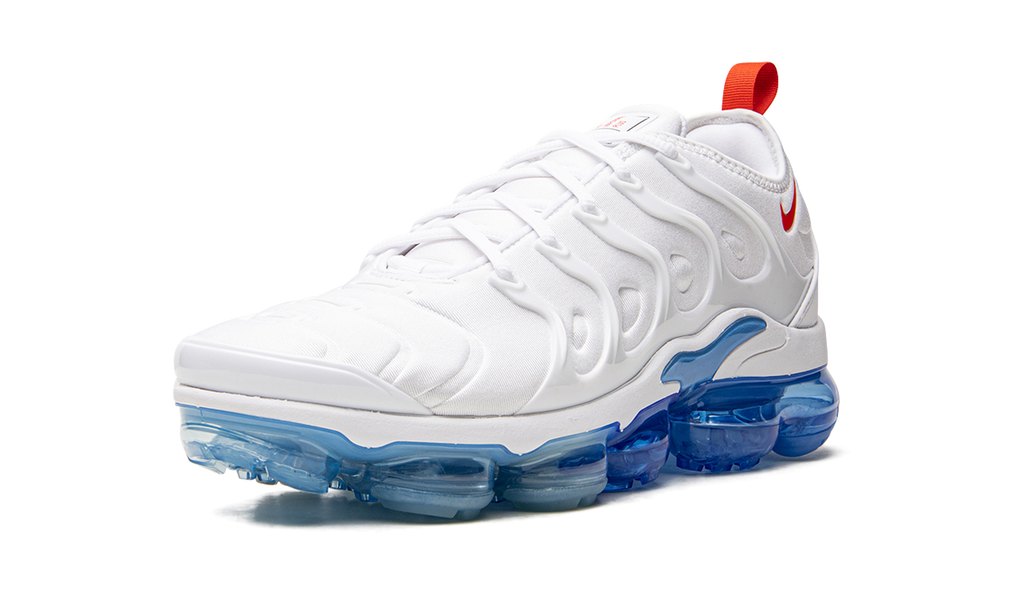 Air VaporMax Plus DV2119 100