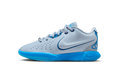 LeBron 21 "Diver" FV1210 400